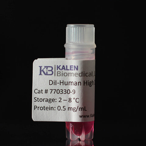 Human DiI High Density Lipoprotein - 0.5 mg
