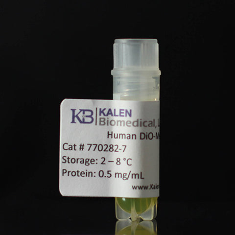 Human DiO-Medium Oxidized LDL - 0.5 mg