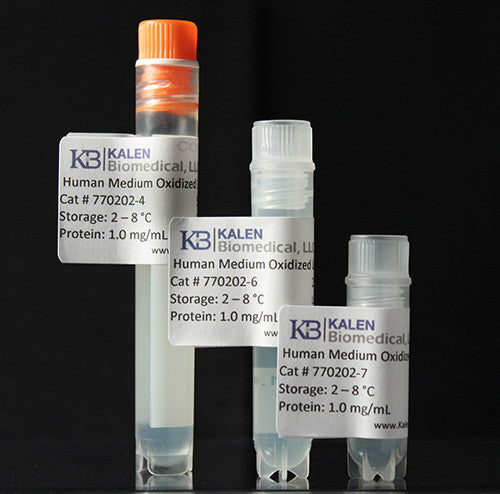 Human Medium Oxidized Low Density Lipoprotein – Kalen Biomedical